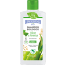 eccoverde I PROVENZALI Aloe & Hafer Shampoo 250 ml