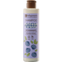 eccoverde La Saponaria Antioxidant Shampoo 200 ml