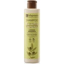 eccoverde La Saponaria Shampoo mit Olivenöl 200 ml