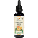 eccoverde Le Erbe di Janas Aprikosenkernöl 50 ml