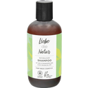 eccoverde Liebe die Natur Shampoo 200 ml