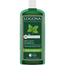 eccoverde LOGONA Anti-Fett Shampoo 250 ml