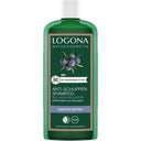 eccoverde LOGONA Anti-Schuppen-Shampoo 250 ml