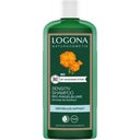 eccoverde LOGONA Sensitiv Shampoo 250 ml