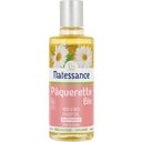 Eccoverde Natessance Gänseblümchenöl 100 Ml