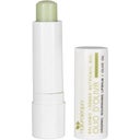 eccoverde naturaequa Lippenbalsam Olive 4 80 g
