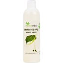 eccoverde naturaequa Shampoo Teebaum 250 ml