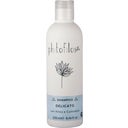 eccoverde Phitofilos Mildes Shampoo 250 ml