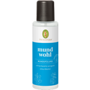 eccoverde PRIMAVERA Mundwohl Mundspülung 250 ml