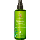 eccoverde PRIMAVERA Pfefferminzwasser 100 ml