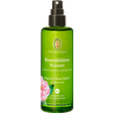 eccoverde PRIMAVERA Rosenblüten Wasser 100 ml