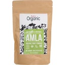 eccoverde Radico Bio-Amla Pulver 100 g