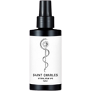 eccoverde SAINT CHARLES N°6 Salbei Hydrolat 100 ml