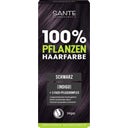 eccoverde SANTE Pflanzen-Haarfarbe Schwarz 100 g