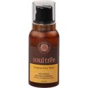 eccoverde soultree Nutgrass Face Wash 120 ml
