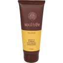 Eccoverde Soultree Walnut & Tumeric Face Scrub 100 G