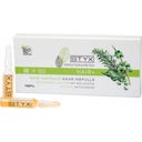 eccoverde STYX Haar-Ampullen mit Bio-Coffein 20 ml