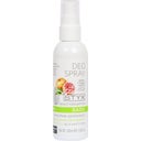 eccoverde STYX Kräutergarten Deo Spray 100 ml