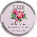 eccoverde STYX Wildrose Lippenbalsam 20 ml