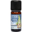 eccoverde STYX Winterzauber Duftmischung 10 ml