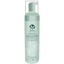eccoverde Suncoat Natural Styling Mousse 190 ml