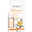 eccoverde Sylveco Rich Exfoliating Lip Balm 4 60 g