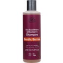 eccoverde URTEKRAM Nordic Berries Shampoo 250 ml