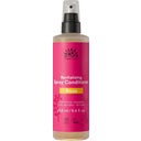 eccoverde URTEKRAM Rose Spray Conditioner 250 ml