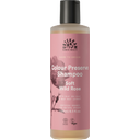 eccoverde URTEKRAM Soft Wild Rose Shampoo 250 ml