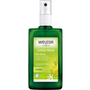 eccoverde Weleda Citrus 24h Deo Spray 100 ml