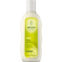 eccoverde Weleda Hirse Pflege-Shampoo 190 ml