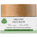 eccoverde ELIAH SAHIL Bio Gesichtsbalsam Moringa - Sheabutter 15 ml