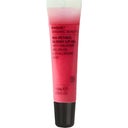 eccoverde Evolve Organic Beauty Bio-Retinol Glossy Lip Oil 15 ml