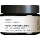 eccoverde Evolve Organic Beauty Intense Hydrating Mask 30 ml