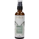 eccoverde farfalla Bio-Pflanzenwasser Hamamelis 75 ml