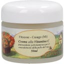 eccoverde Fitocose Vitamin C Anti-Wrinkles Cream 50 ml