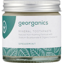 eccoverde georganics Natural Toothpaste Spearmint 120 ml