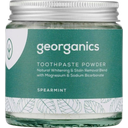 eccoverde georganics Natural Toothpowder Spearmint 60 ml