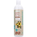 eccoverde greenatural Repair-Shampoo Sheabutter & Sonnenblume 400 ml