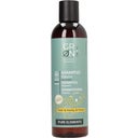 eccoverde GRN [GRÜN] Volume Shampoo Beer & Honey & Hemp 250 ml