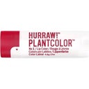 eccoverde HURRAW Plantcolor™ Lippenstift Nr. 1 (4 80 g)