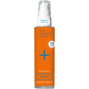 eccoverde i+m Sun Protect Sonnencreme Gesicht LSF 30 50 ml