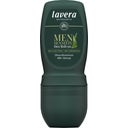 eccoverde lavera Men Sensitiv Deo Roll-On 48h 50 ml