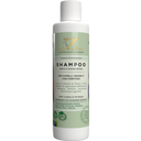 eccoverde Le Erbe di Janas Anti-Schuppen Shampoo Myrte & Pflaume 150 ml