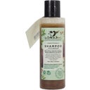 eccoverde Le Erbe di Janas Shampoo Feige & Mastix 150 ml