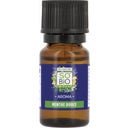 eccoverde LÉA NATURE SO BiO étic Aroma Ätherisches Öl bio Grüne Minze (10 ml)