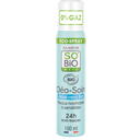 eccoverde LÉA NATURE SO BiO étic Deo Spray Bio-Aloe Vera 100 ml