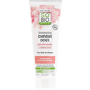 eccoverde LÉA NATURE SO BiO étic Shampoo mit Mandelmilch & Reisproteinen 250 ml