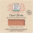 eccoverde LÉA NATURE SO BiO étic Teint Divin Rouge 02 Peche (3 g)