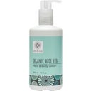 eccoverde Leo & Lilo Organic Aloe Vera Hand & Body Lotion 295 ml